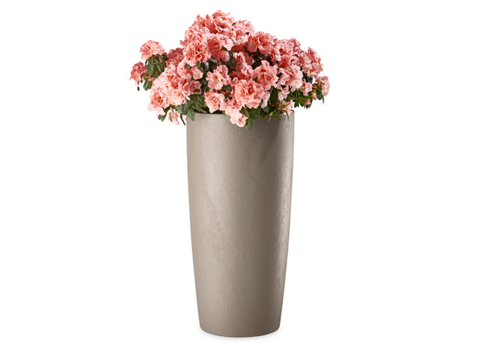 Erba - Musa Matte - 35x70 - Taupe