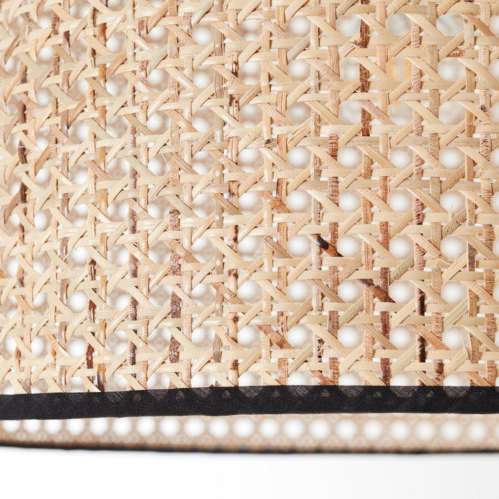 310716-x04.jpg (3246795) 