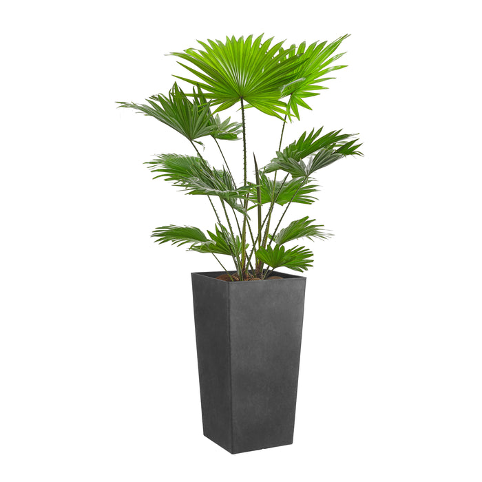 Mica Decorations Bravo Bloempot - L31 x B31 x H54 cm - Antraciet