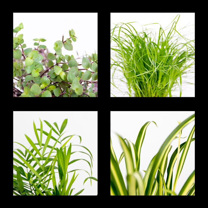 a5ed4a11-ff77-4468-9458-f2d1f2e55574-afbeelding7.jpg (3270211) 