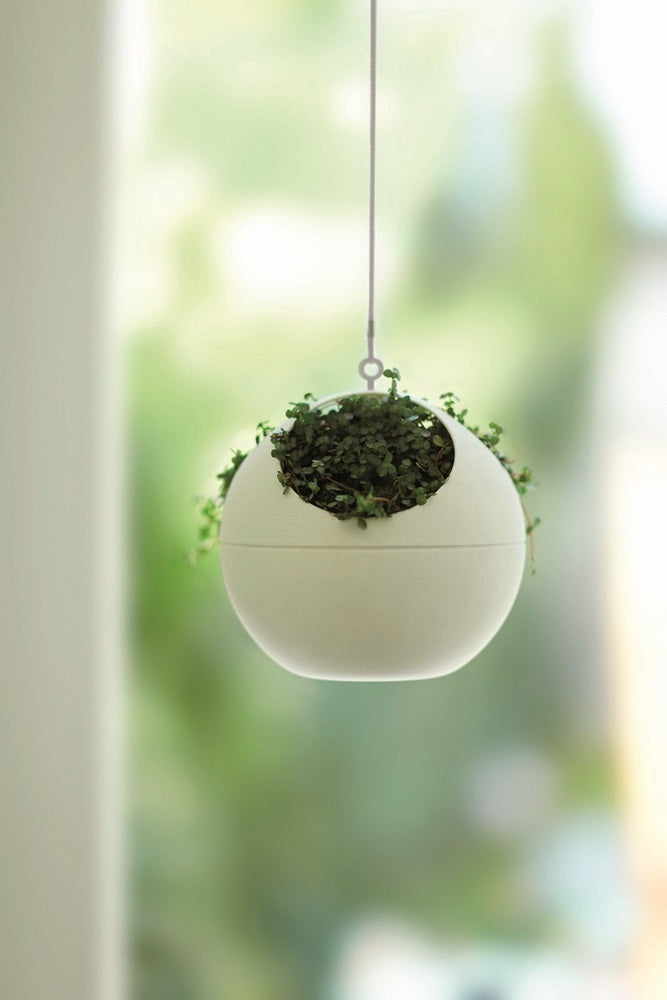 155727-4.jpg (3273313) 