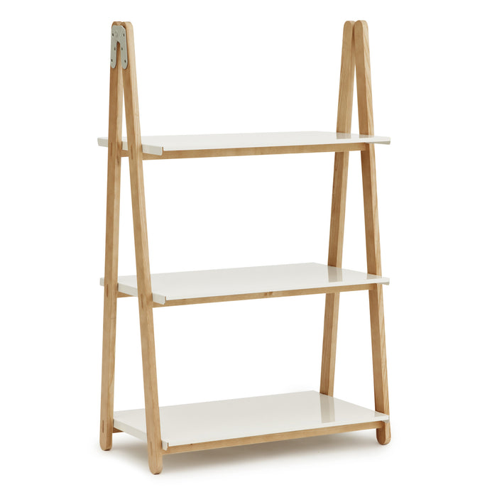 86732-x01.jpg (3289536) 