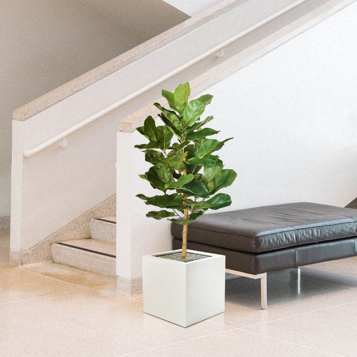 40f7924d-454d-4f74-a8d1-40c7af139993-afbeelding8.jpg (3291367) 