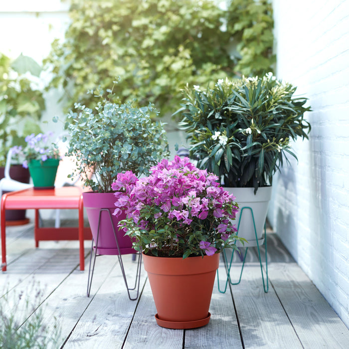 Elho Loft Urban Round Bloempot 40 cm met Wielen