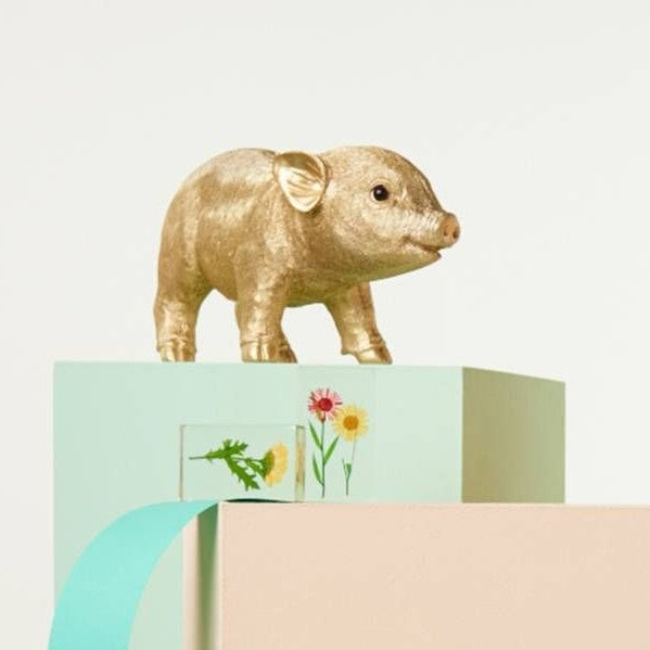 &k amsterdam Pig Spaarpot