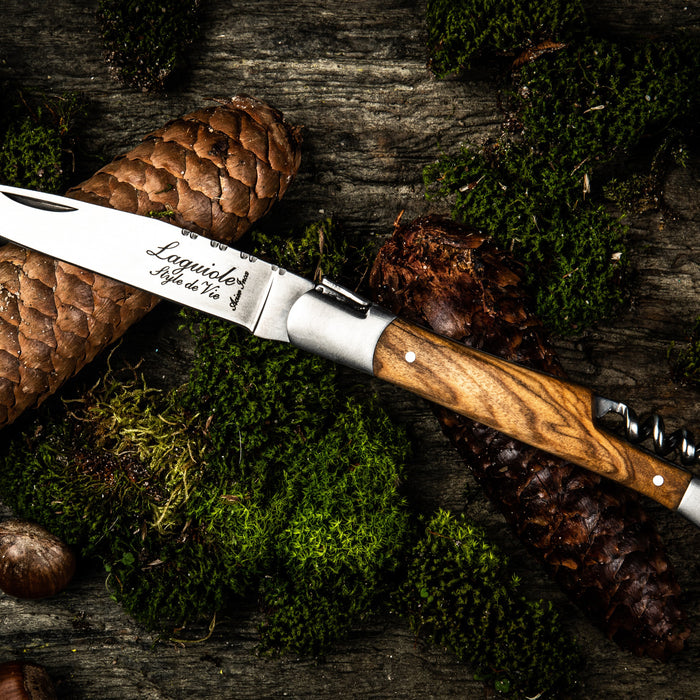 Laguiole Style de Vie Zakmes en Kurkentrekker