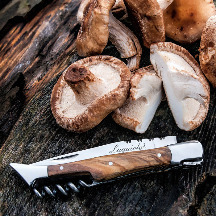 Laguiole Style de Vie Zakmes en Kurkentrekker