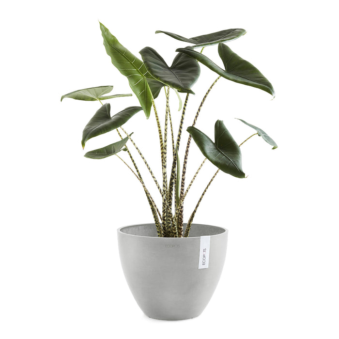Ecopots Antwerp 30