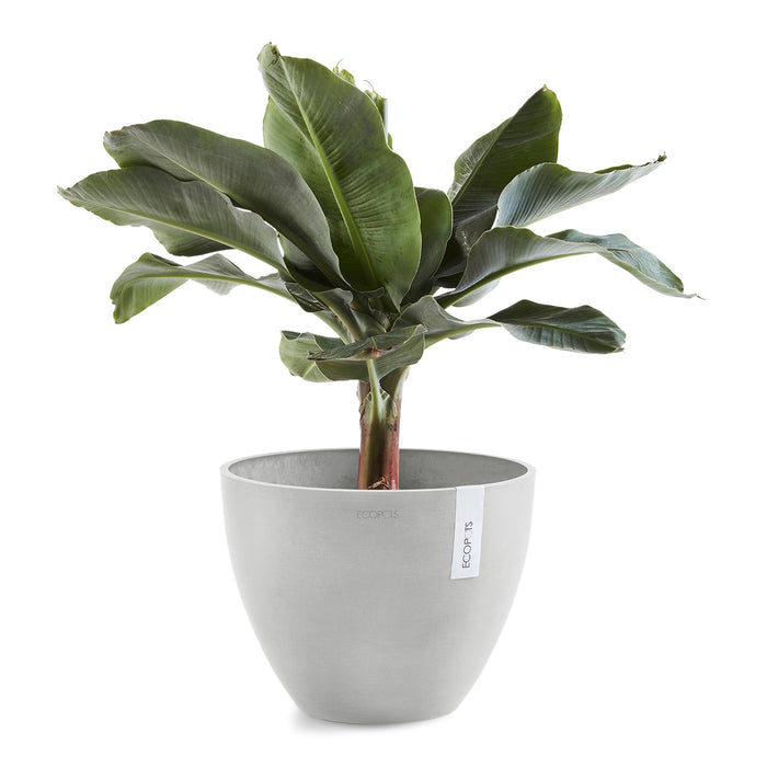 Ecopots Antwerp 30