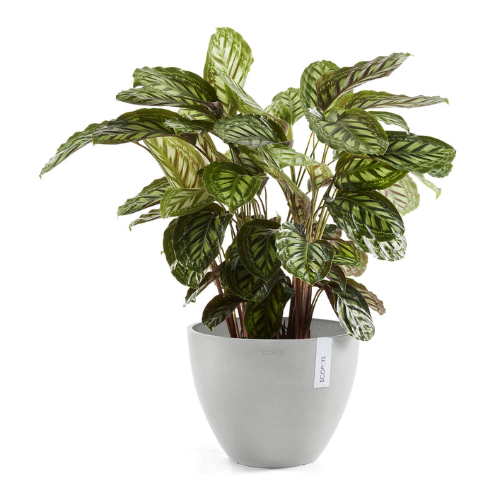 Ecopots Antwerp 30