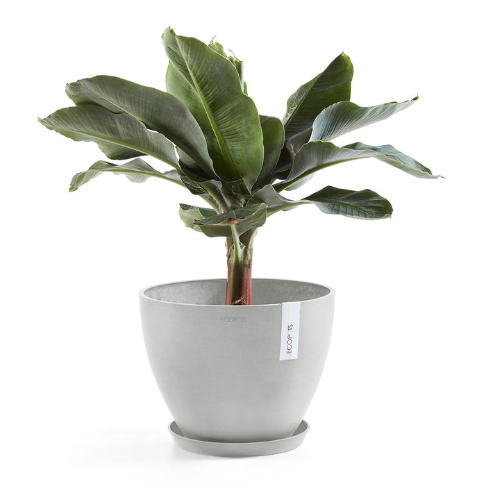 Ecopots Antwerp 30