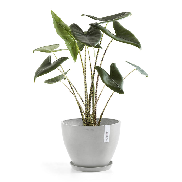 Ecopots Antwerp 30
