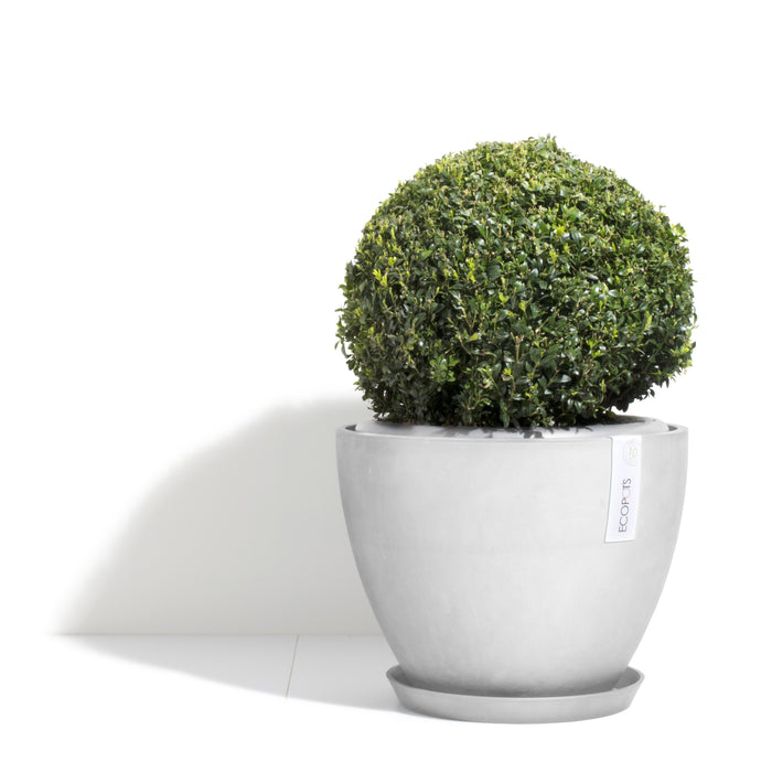 Ecopots Antwerp 30