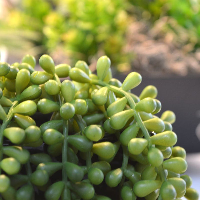 4f522a96-93aa-4584-9b1e-5265026f90f7-sfeerbeeld.jpg (3367288) 