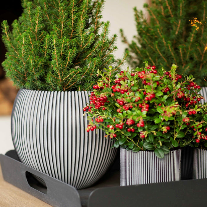 296762-x02.jpg (3368467) 