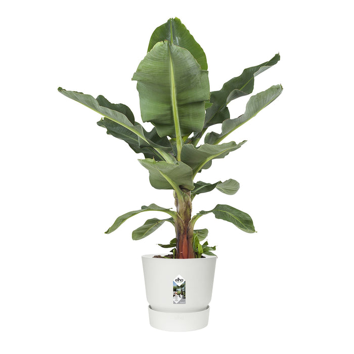 elho Greenville Bloempot 40 cm - 100% gerecycled kunststof