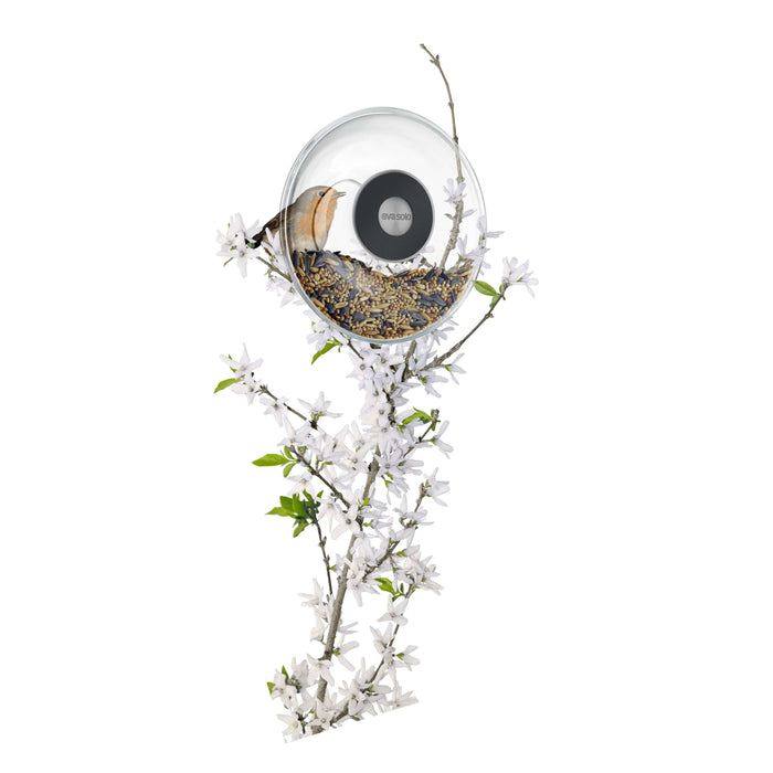 Glazen Vogel Voederbol voor Raam - 14.3 cm - Eva Solo