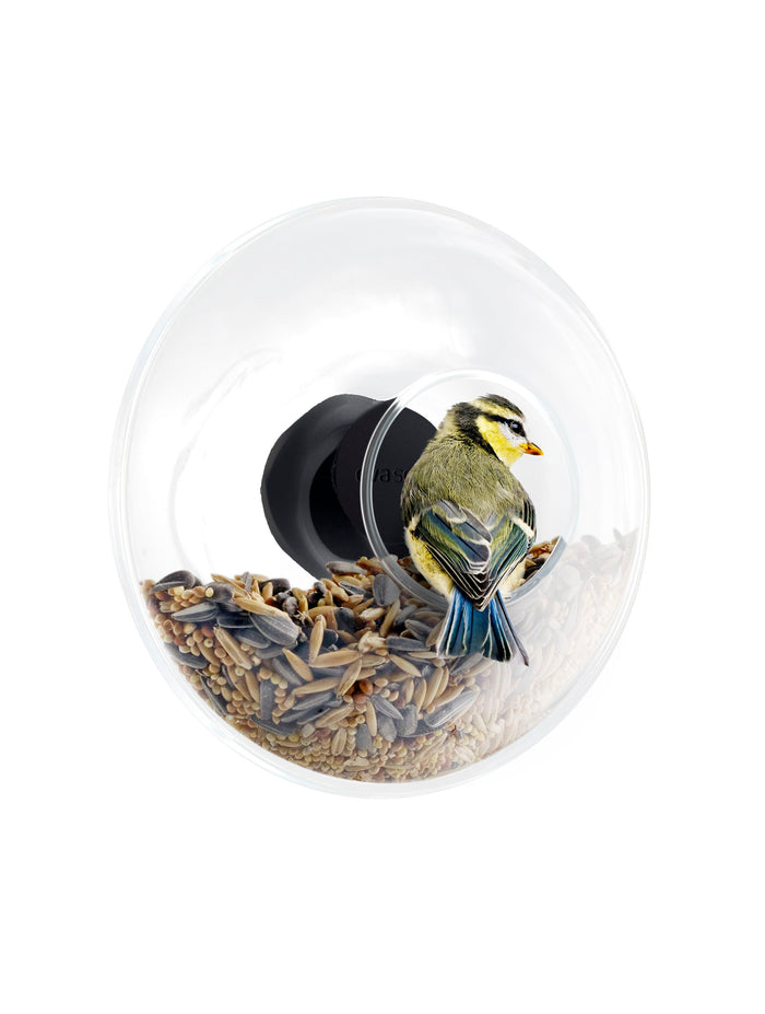Glazen Vogel Voederbol voor Raam - 14.3 cm - Eva Solo