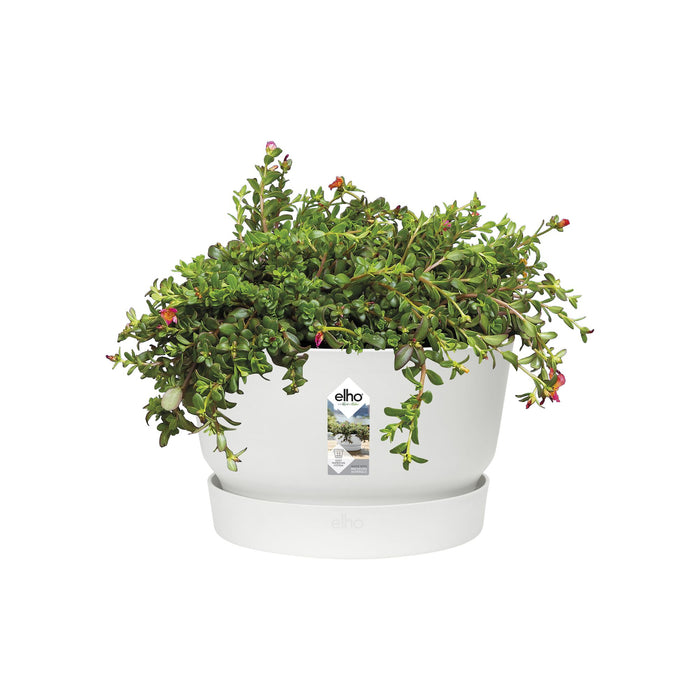 Elho Greenville Schaal 33 cm