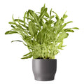 Eva Solo Bloempot Ø 11 cm