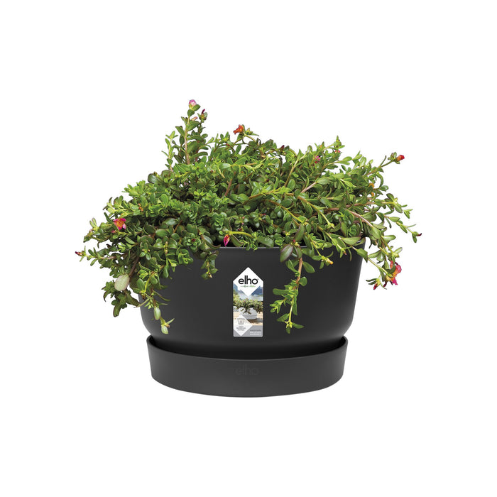 Elho Greenville Schaal 33 cm