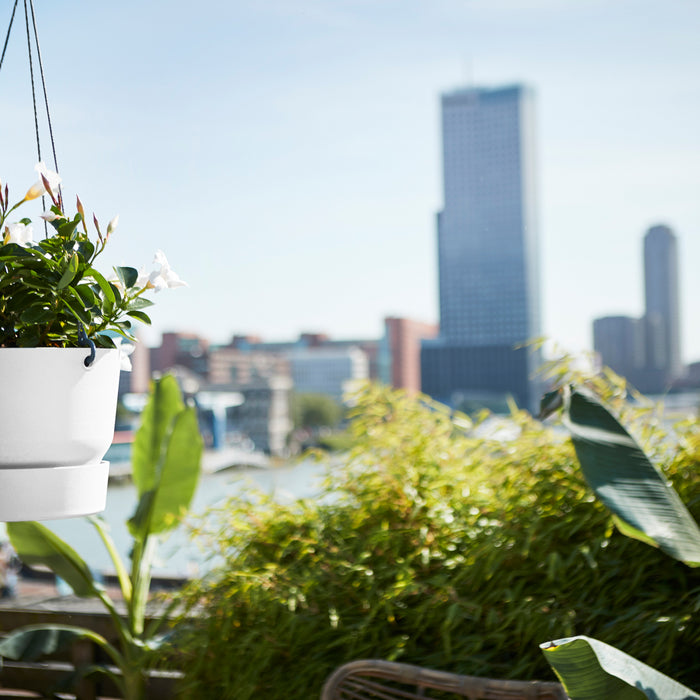 Elho Greenville Hangschaal 24 cm Wit