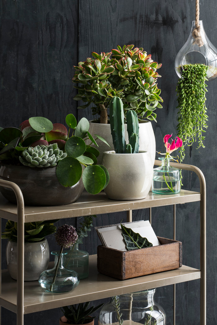 238ffa3f-80fb-4c39-9df3-aeac453a854e-afbeelding5.jpg (3430663) 