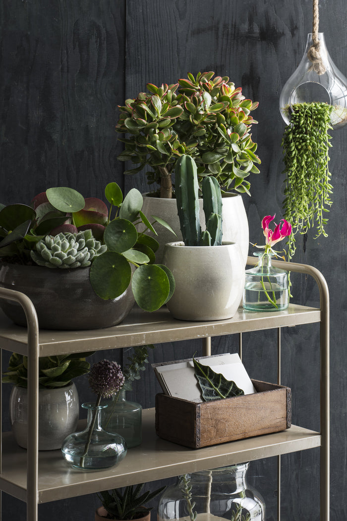 238ffa3f-80fb-4c39-9df3-aeac453a854e-sfeerbeeld.jpg (3430664) 