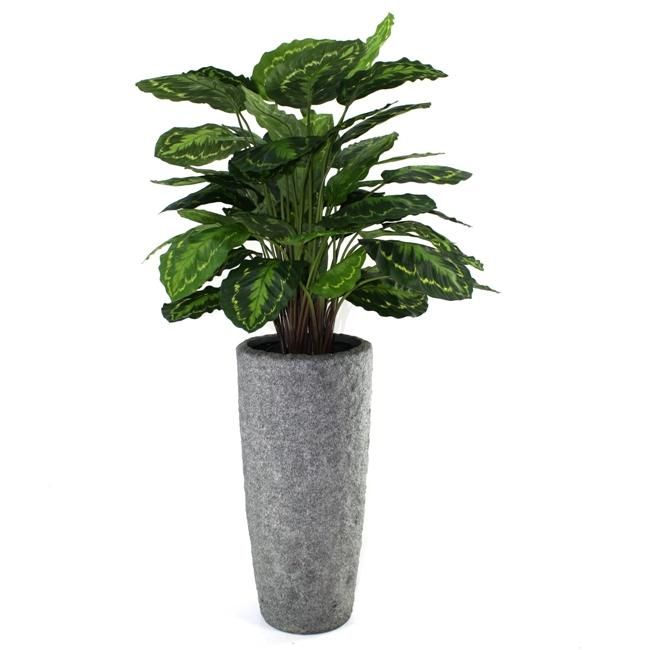 37deb0e5-3ec6-4fe3-a5f2-2fa71d742beb-afbeelding3.jpg (3432059) 