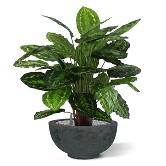 37deb0e5-3ec6-4fe3-a5f2-2fa71d742beb-sfeerbeeld.jpg (3432066) 