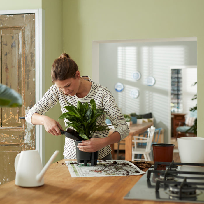 259790-x03.jpg (3447085) 