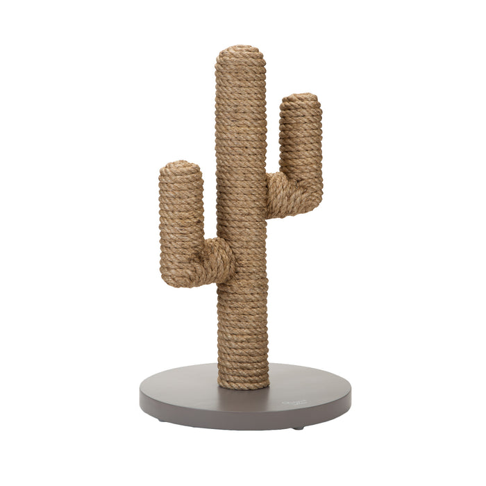 216792-x0.jpg (3452693) 