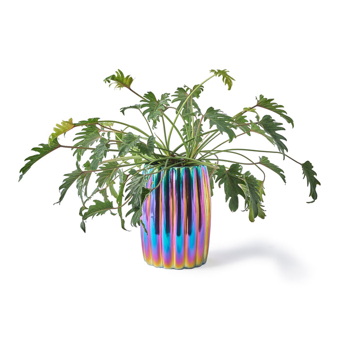 POLSPOTTEN Oily Bloempot - Curvy Ø 32,5 cm