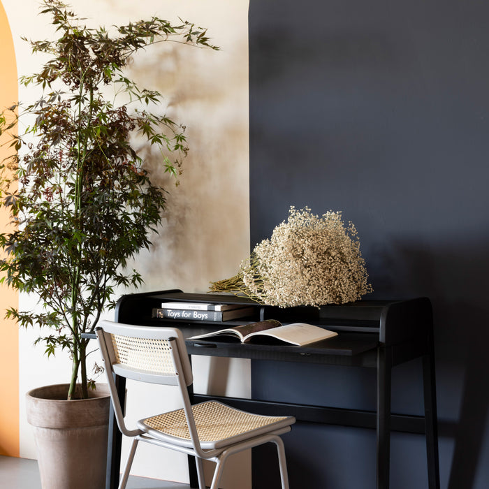 295795-x1.jpg (3461065) 