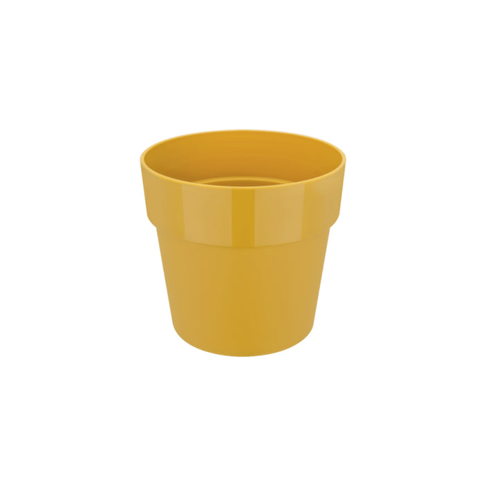 259800-x00.jpg (3474992) 