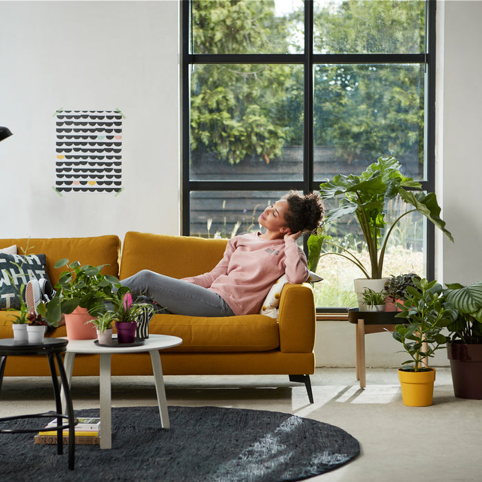 259800-x02.jpg (3474994) 