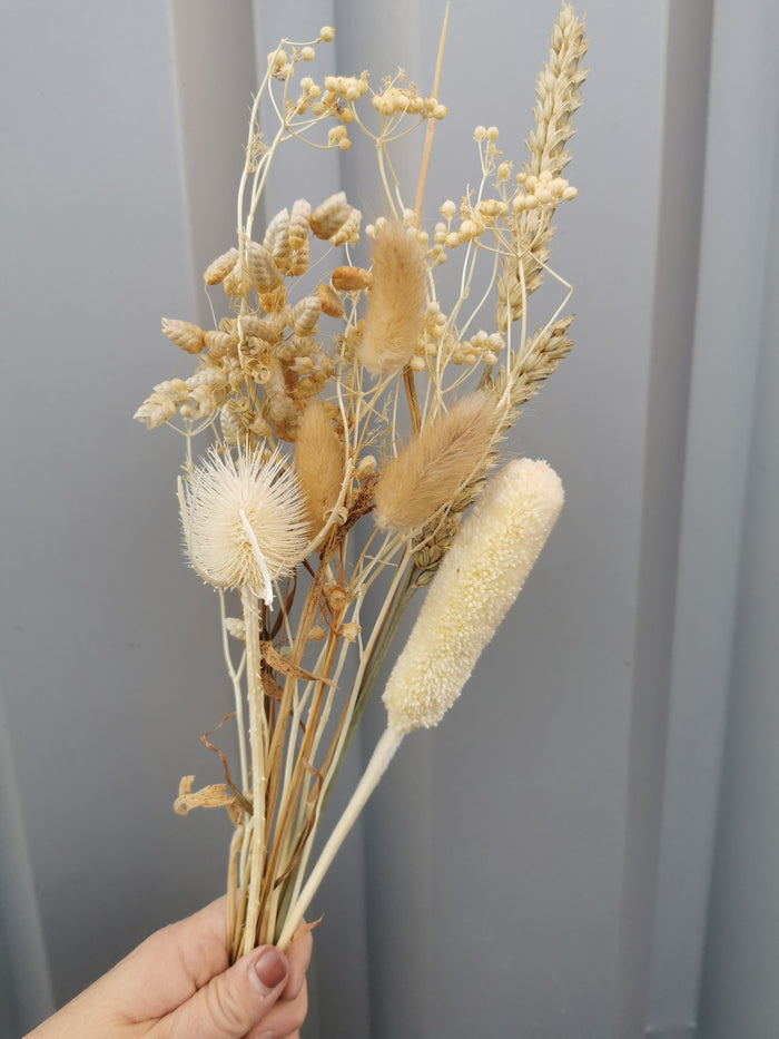 8adae57b-1b05-426e-995e-78945eb7111a-sfeerbeeld.jpg (3486871) 