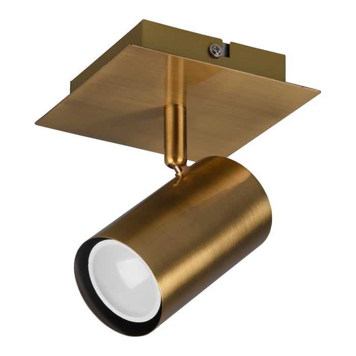 300809-x04.jpg (3502304) 