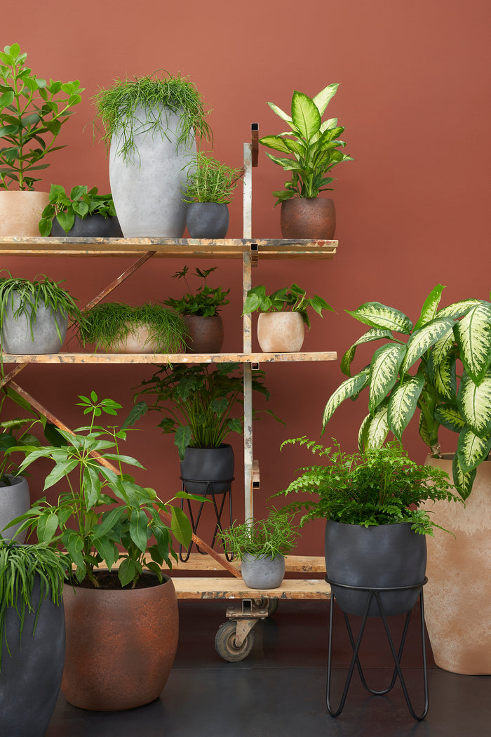 Mica Decorations Plantenstandaard Zwart Ø21,5 cm