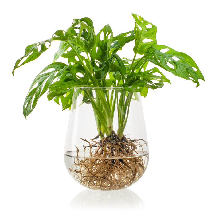 f6d5adeb-37f8-4cc1-81d1-1757104ef445-sfeerbeeld.jpg (3535865) 