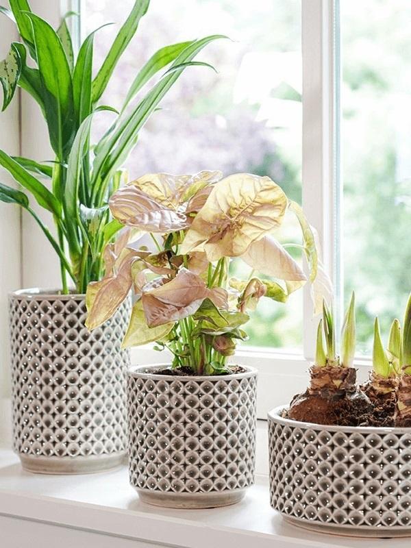 92541ad6-acfc-4501-a93a-3a7f5e43204e-afbeelding10.jpg (3555525) 