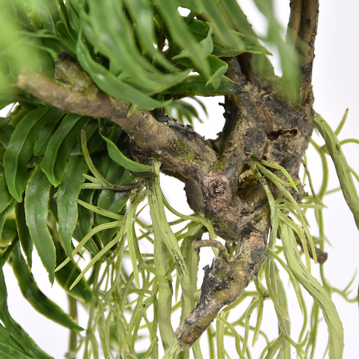 693a3ee1-fd3f-4de7-970b-a91ae49afb5b-afbeelding3.jpg (3557945) 