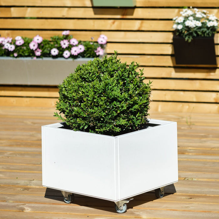 Grönfeld Plantenbak B 40 x D 40 cm