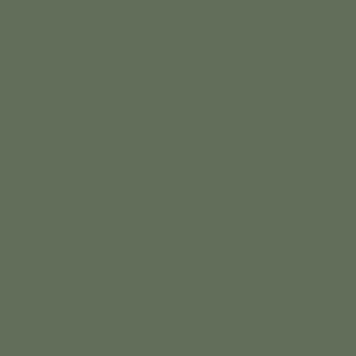 Graham & Brown Matte Muurverf groen Uluwatu 2,5L