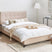 Beliani-AMBASSADOR -Tweepersoonsbed-Beige-140 x 200 cm-Polyester