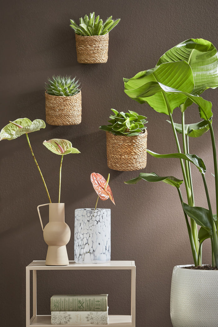 409c0b16-4682-48b1-83b9-9831514f9193-sfeerbeeld.jpg (3598740) 