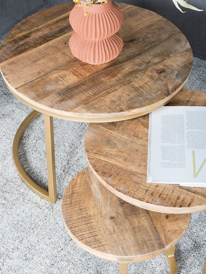 Home67 - Salontafel Set van 3 - Industriële Salontafelset Erjan - Goud