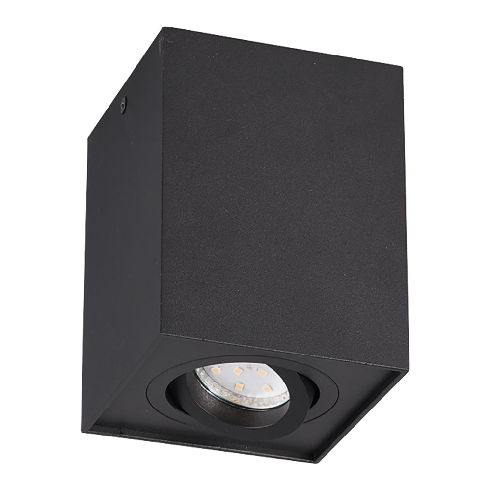 Trio Biscuit Plafonnière