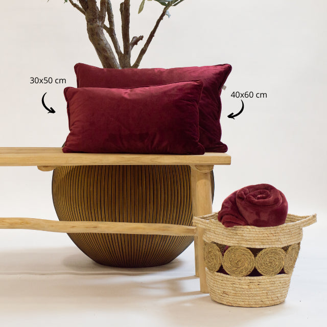 ca7e31e4-a717-4bc6-a431-33fd5a27333e-afbeelding3.jpg (3640341) 