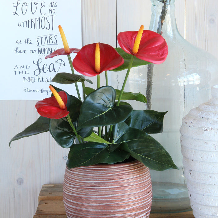 Mica Decorations Anthurium Kunstplant - H40 x Ø30 cm - Rood